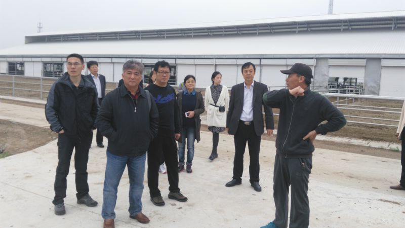 致公党连云港市新浦支部调研现代乳业发展.jpg