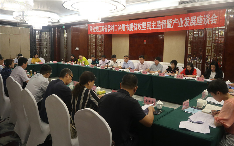 10-民主监督暨产业发展座谈会.JPG