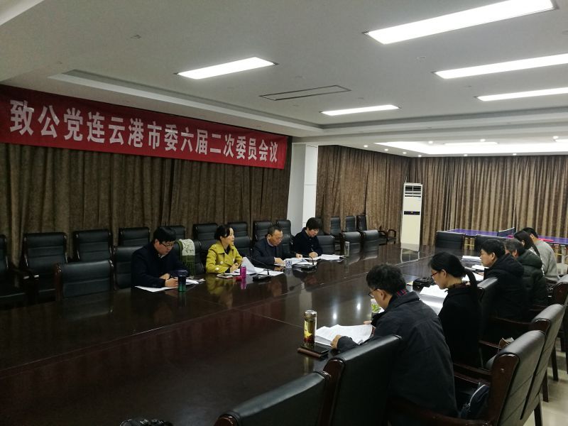 2019-2-24六届二次委员会议.jpg
