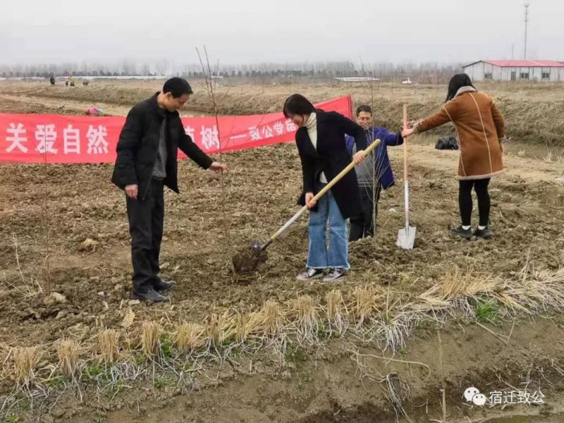 宿迁植树3.jpg