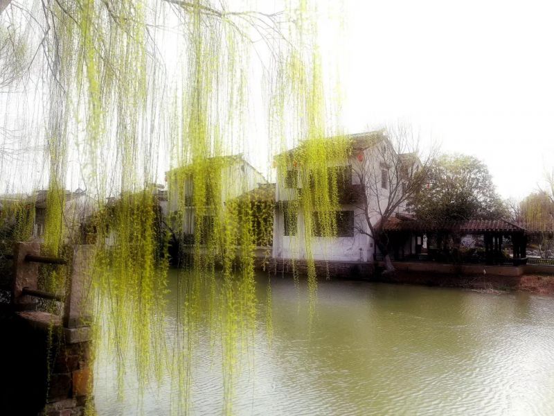 微信图片_20200313133836.jpg