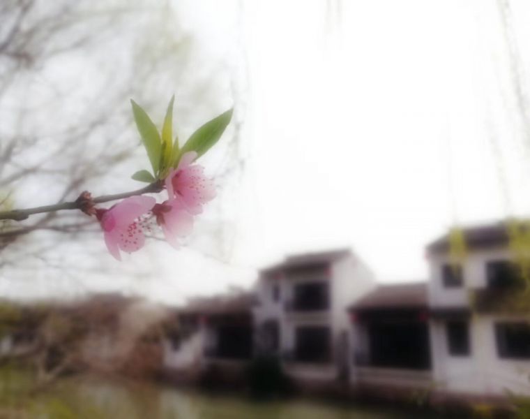微信图片_20200313133842.jpg